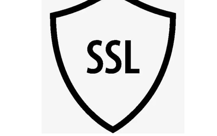 企业网站域名ssl证书如何申请？