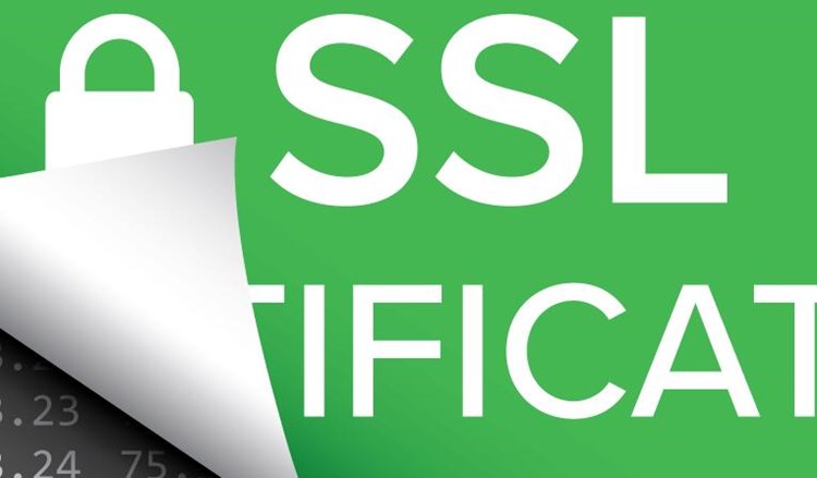 申请ssl证书怎么验证？